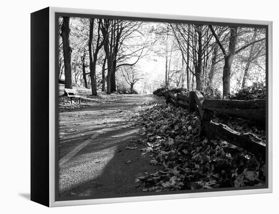 Road with Leaves on Ground-Sharon Wish-Framed Premier Image Canvas