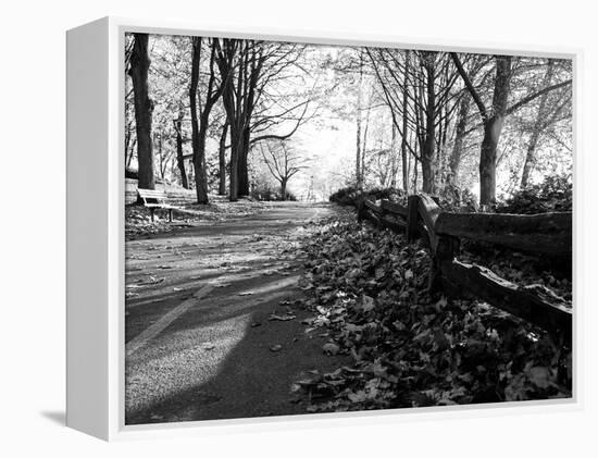 Road with Leaves on Ground-Sharon Wish-Framed Premier Image Canvas