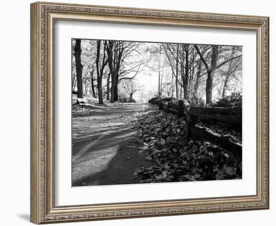 Road with Leaves on Ground-Sharon Wish-Framed Photographic Print