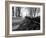 Road with Leaves on Ground-Sharon Wish-Framed Photographic Print
