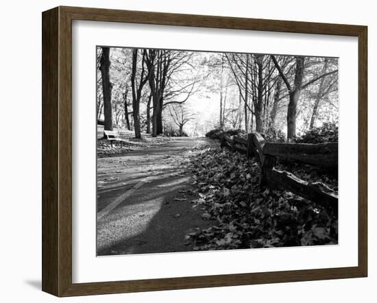 Road with Leaves on Ground-Sharon Wish-Framed Photographic Print