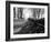 Road with Leaves on Ground-Sharon Wish-Framed Photographic Print