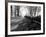 Road with Leaves on Ground-Sharon Wish-Framed Photographic Print