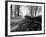 Road with Leaves on Ground-Sharon Wish-Framed Photographic Print