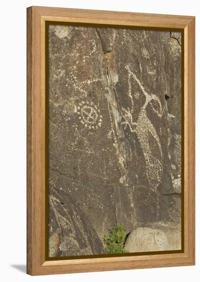 Roadrunner with a Snake and Other Jornada-Mogollon Petroglyphs at Three Rivers Site, New Mexico-null-Framed Premier Image Canvas