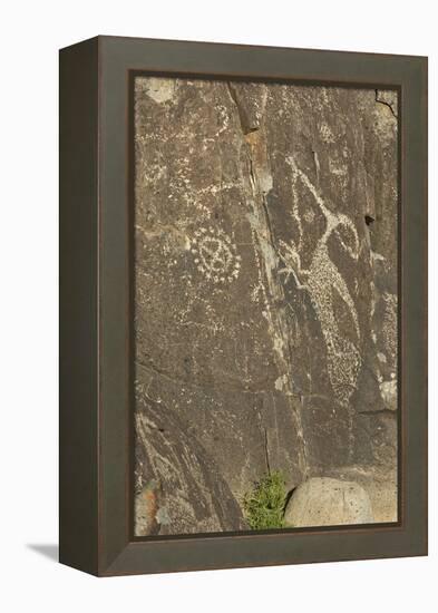 Roadrunner with a Snake and Other Jornada-Mogollon Petroglyphs at Three Rivers Site, New Mexico-null-Framed Premier Image Canvas