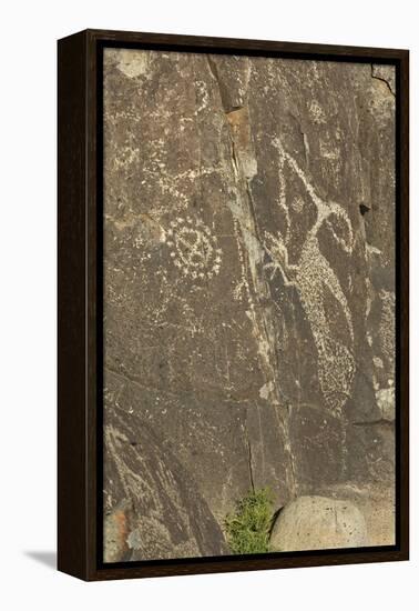 Roadrunner with a Snake and Other Jornada-Mogollon Petroglyphs at Three Rivers Site, New Mexico-null-Framed Premier Image Canvas