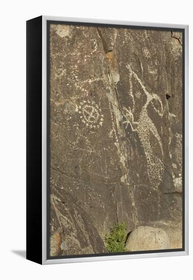 Roadrunner with a Snake and Other Jornada-Mogollon Petroglyphs at Three Rivers Site, New Mexico-null-Framed Premier Image Canvas