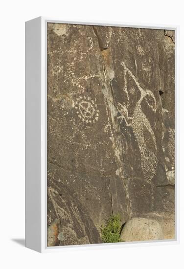 Roadrunner with a Snake and Other Jornada-Mogollon Petroglyphs at Three Rivers Site, New Mexico-null-Framed Premier Image Canvas