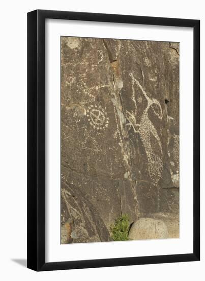 Roadrunner with a Snake and Other Jornada-Mogollon Petroglyphs at Three Rivers Site, New Mexico-null-Framed Photographic Print