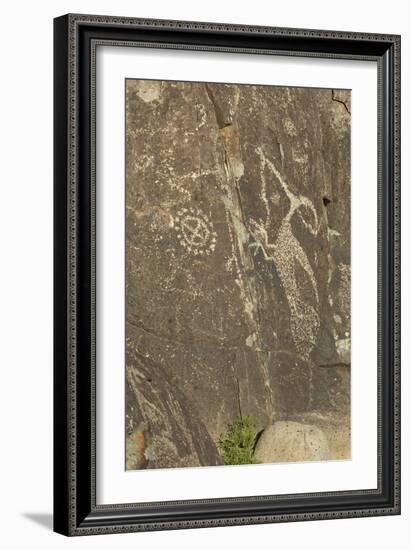 Roadrunner with a Snake and Other Jornada-Mogollon Petroglyphs at Three Rivers Site, New Mexico-null-Framed Photographic Print