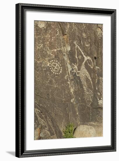 Roadrunner with a Snake and Other Jornada-Mogollon Petroglyphs at Three Rivers Site, New Mexico-null-Framed Photographic Print