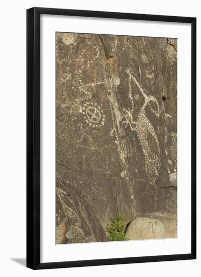 Roadrunner with a Snake and Other Jornada-Mogollon Petroglyphs at Three Rivers Site, New Mexico-null-Framed Photographic Print