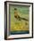 Roadrunner-Leah Saulnier-Framed Giclee Print