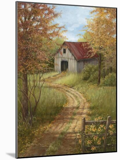 Roadside Barn-Lene Alston Casey-Mounted Art Print