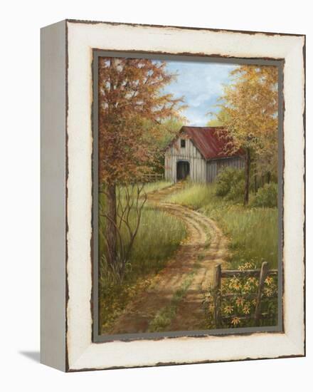 Roadside Barn-Lene Alston Casey-Framed Stretched Canvas