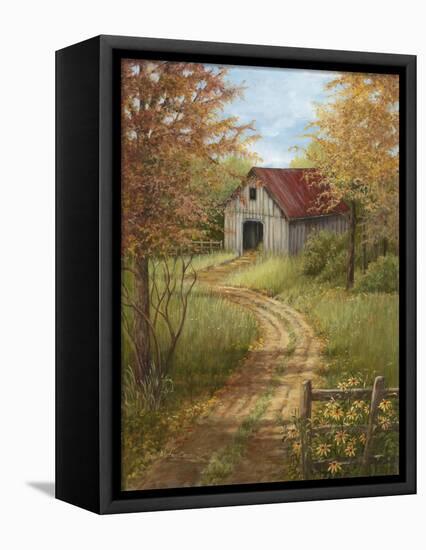 Roadside Barn-Lene Alston Casey-Framed Stretched Canvas