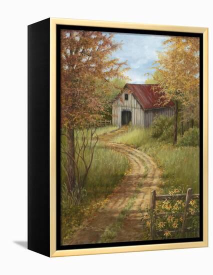 Roadside Barn-Lene Alston Casey-Framed Stretched Canvas