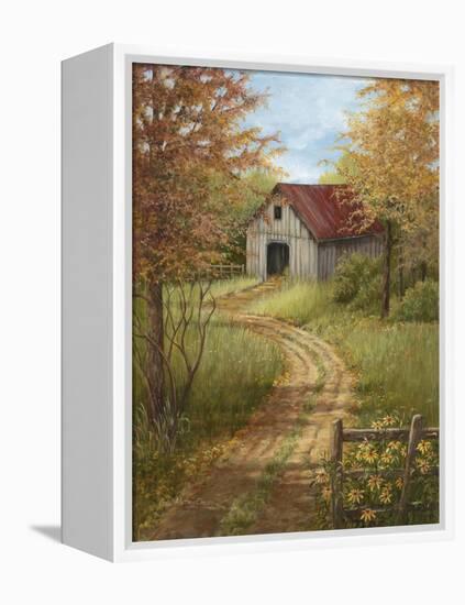 Roadside Barn-Lene Alston Casey-Framed Stretched Canvas