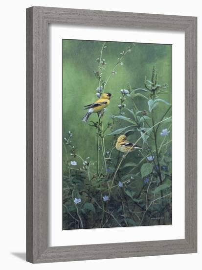 Roadside Bouquet-Michael Budden-Framed Giclee Print