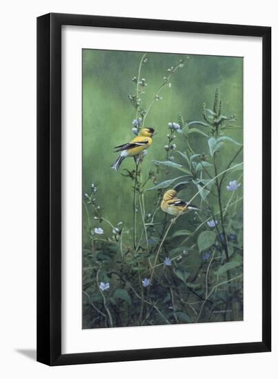 Roadside Bouquet-Michael Budden-Framed Giclee Print