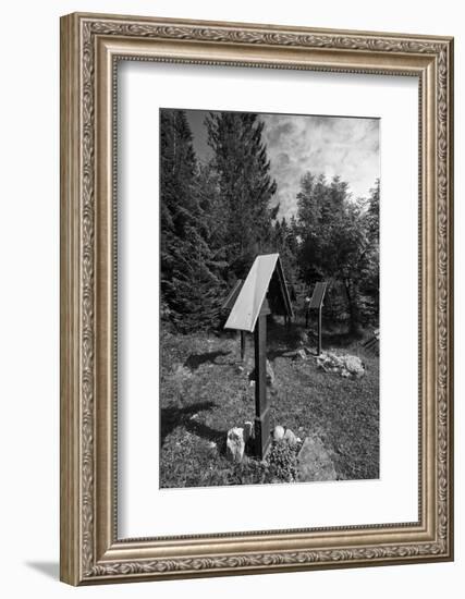 Roadside calvaries at the edge of the forest-Klaus Scholz-Framed Photographic Print