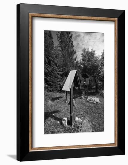 Roadside calvaries at the edge of the forest-Klaus Scholz-Framed Photographic Print