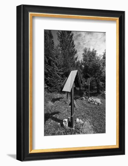 Roadside calvaries at the edge of the forest-Klaus Scholz-Framed Photographic Print