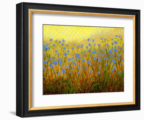 Roadside Chickory-John Newcomb-Framed Giclee Print