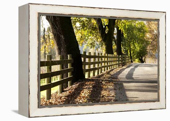 Roadside Fence-Lance Kuehne-Framed Premier Image Canvas