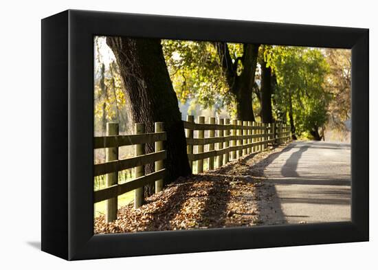 Roadside Fence-Lance Kuehne-Framed Premier Image Canvas