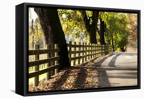 Roadside Fence-Lance Kuehne-Framed Premier Image Canvas