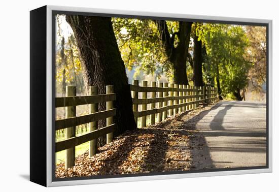 Roadside Fence-Lance Kuehne-Framed Premier Image Canvas