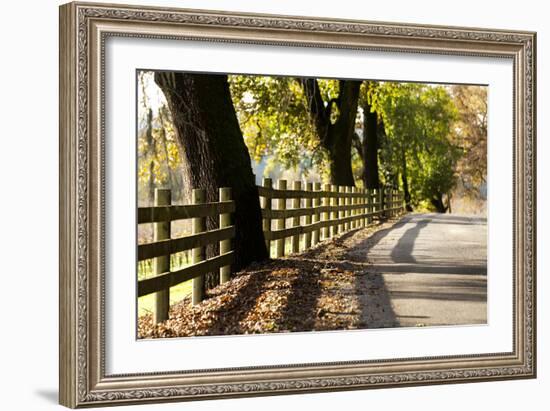 Roadside Fence-Lance Kuehne-Framed Photographic Print