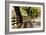 Roadside Fence-Lance Kuehne-Framed Photographic Print