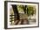 Roadside Fence-Lance Kuehne-Framed Photographic Print