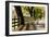 Roadside Fence-Lance Kuehne-Framed Photographic Print