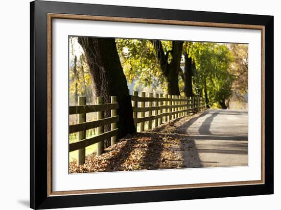 Roadside Fence-Lance Kuehne-Framed Photographic Print