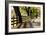 Roadside Fence-Lance Kuehne-Framed Photographic Print