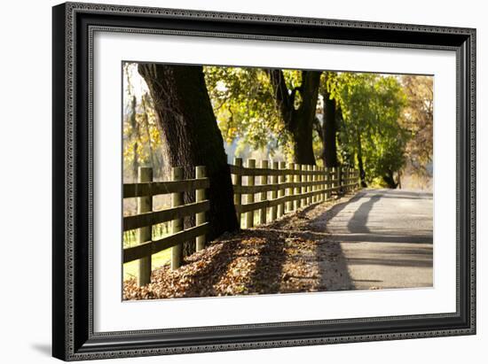 Roadside Fence-Lance Kuehne-Framed Photographic Print