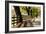 Roadside Fence-Lance Kuehne-Framed Photographic Print