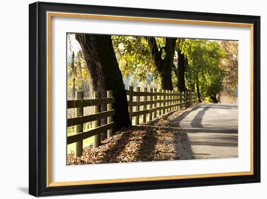 Roadside Fence-Lance Kuehne-Framed Photographic Print