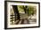 Roadside Fence-Lance Kuehne-Framed Photographic Print