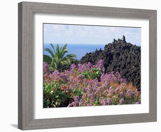 Roadside Flowers, La Palma, Canary Islands, Spain-Jean Brooks-Framed Photographic Print
