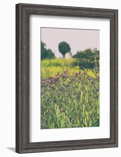 Roadside Flowers-Aledanda-Framed Photographic Print