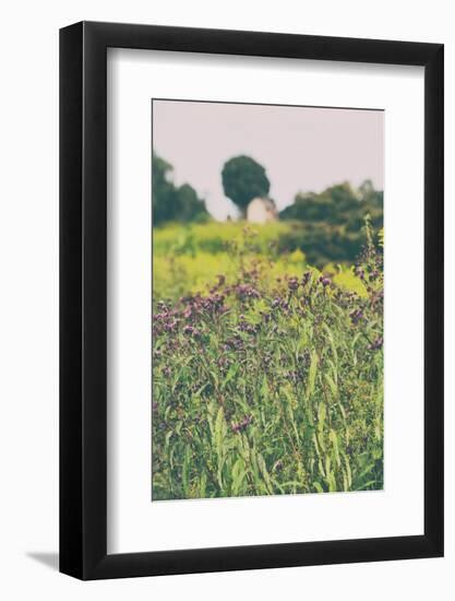Roadside Flowers-Aledanda-Framed Photographic Print