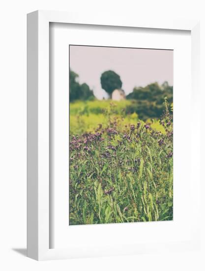 Roadside Flowers-Aledanda-Framed Photographic Print