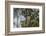 Roadside Hawk-Joe McDonald-Framed Photographic Print