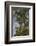 Roadside Hawk-Joe McDonald-Framed Photographic Print