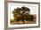 Roadside Oak-Lance Kuehne-Framed Photographic Print